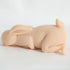 Rabbit Pussy